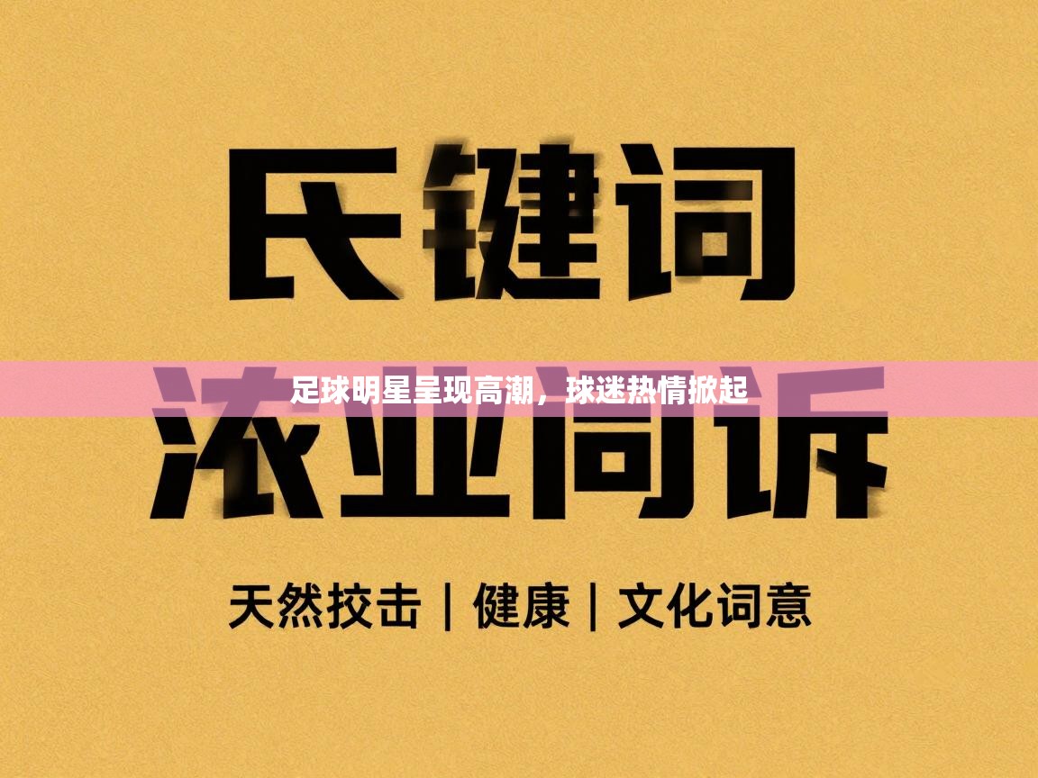 足球明星呈现高潮，球迷热情掀起  第2张