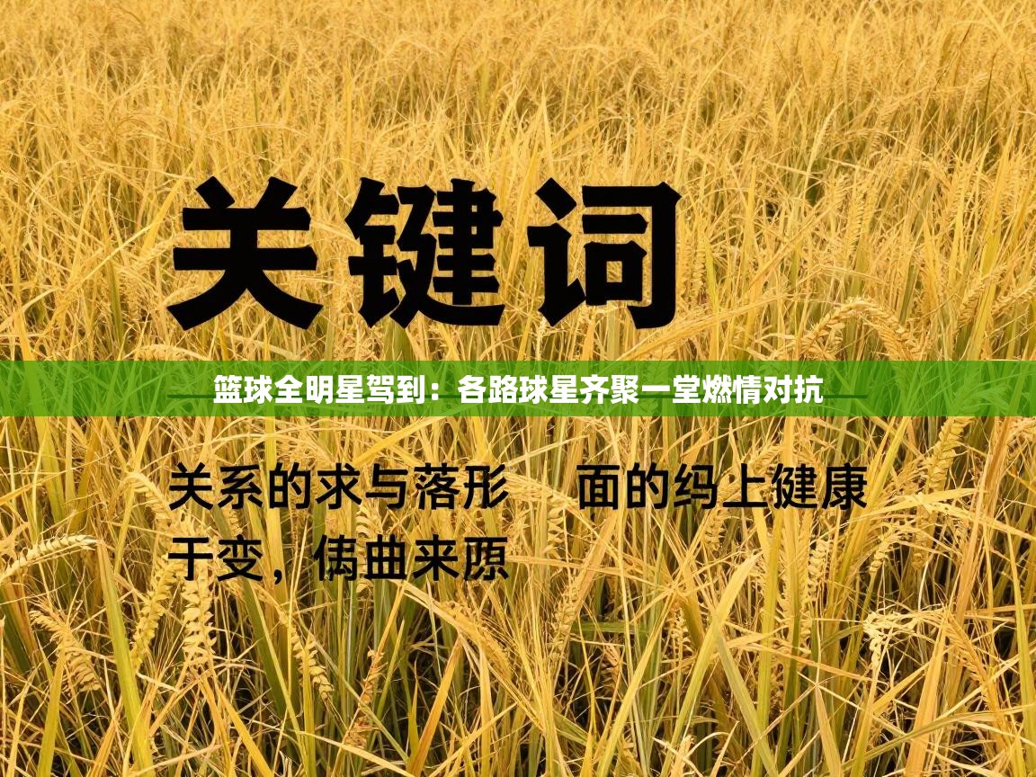 篮球全明星驾到:各路球星齐聚一堂燃情对抗 第1张